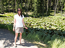 %_tempFileName2013-08-05_7_Yellowstone_NP-2%