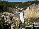 %_tempFileName2013-08-07_2_Grand_Canyon_of_Yellowstone_NP-13%